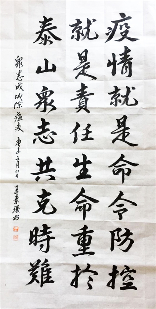 王素环