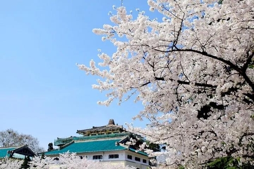 微信图片_20200315125229
