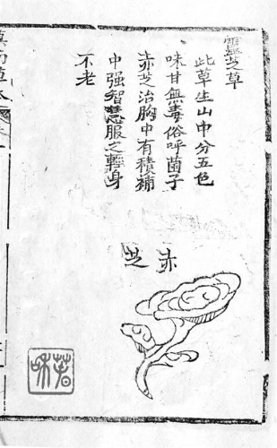 QQ截图20200506100207
