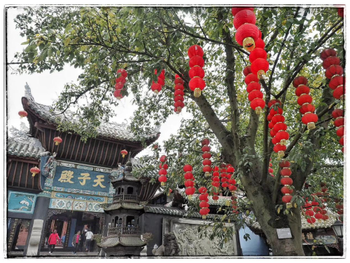 图片19