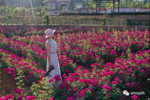 《花中花》  杨云生   摄