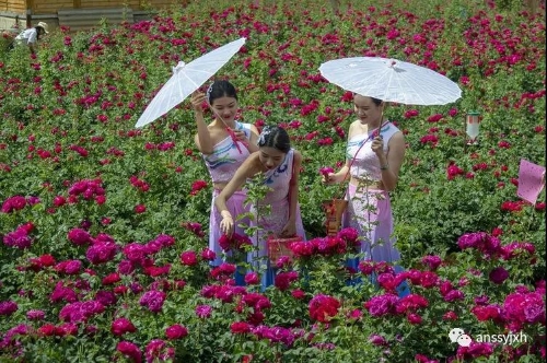 《赏花》  杜铮   摄