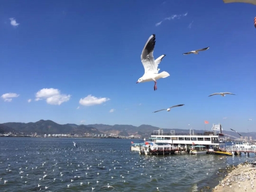 微信图片_20200727112407
