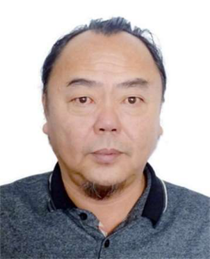 苗飞