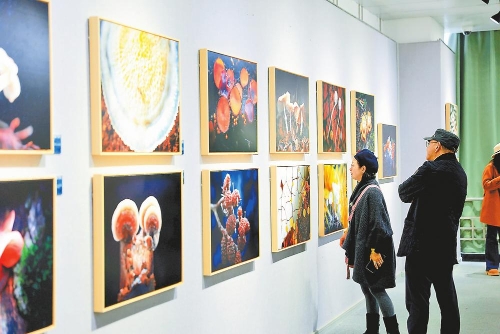 2017457_2048x2048 (1)